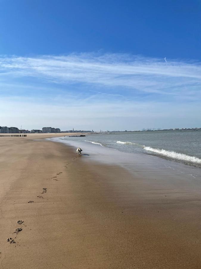 Hotel De Backer Knokke-Heist Dış mekan fotoğraf